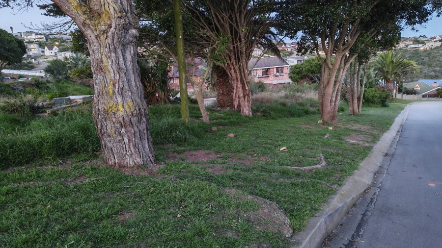 Commercial Property for Sale in Dana Bay Western Cape